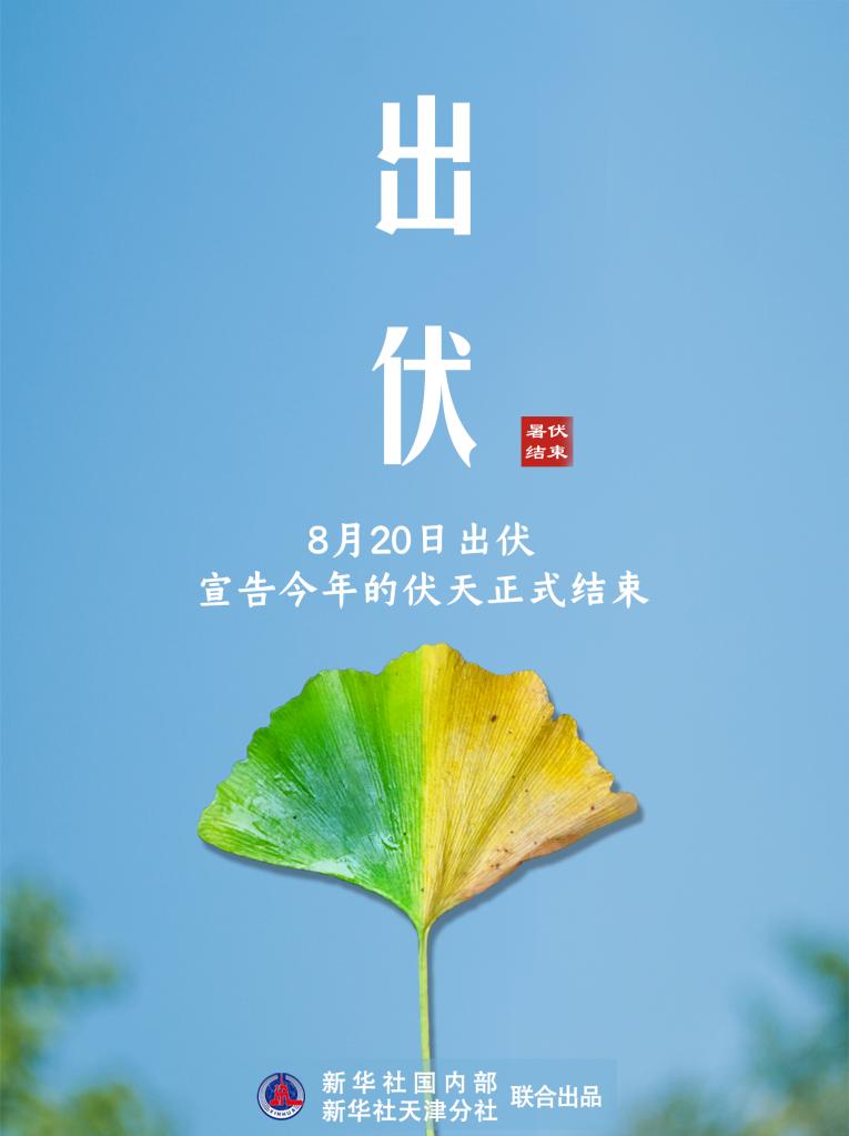 20日出伏,当心“秋老虎”发威!